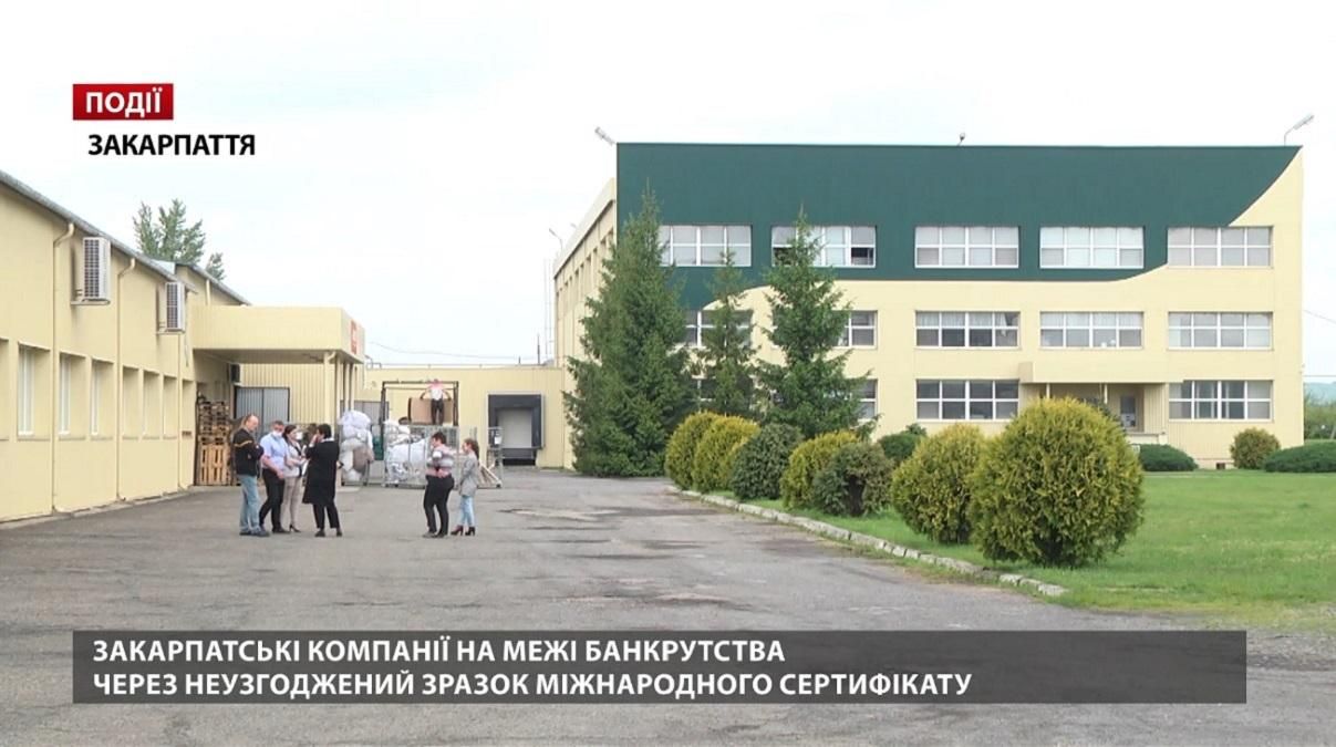 Закарпатские компании на грани банкротства из-за несогласованного международного сертификата Закарпатские компании на грани банкротства из-за несогласованного международного сертификата