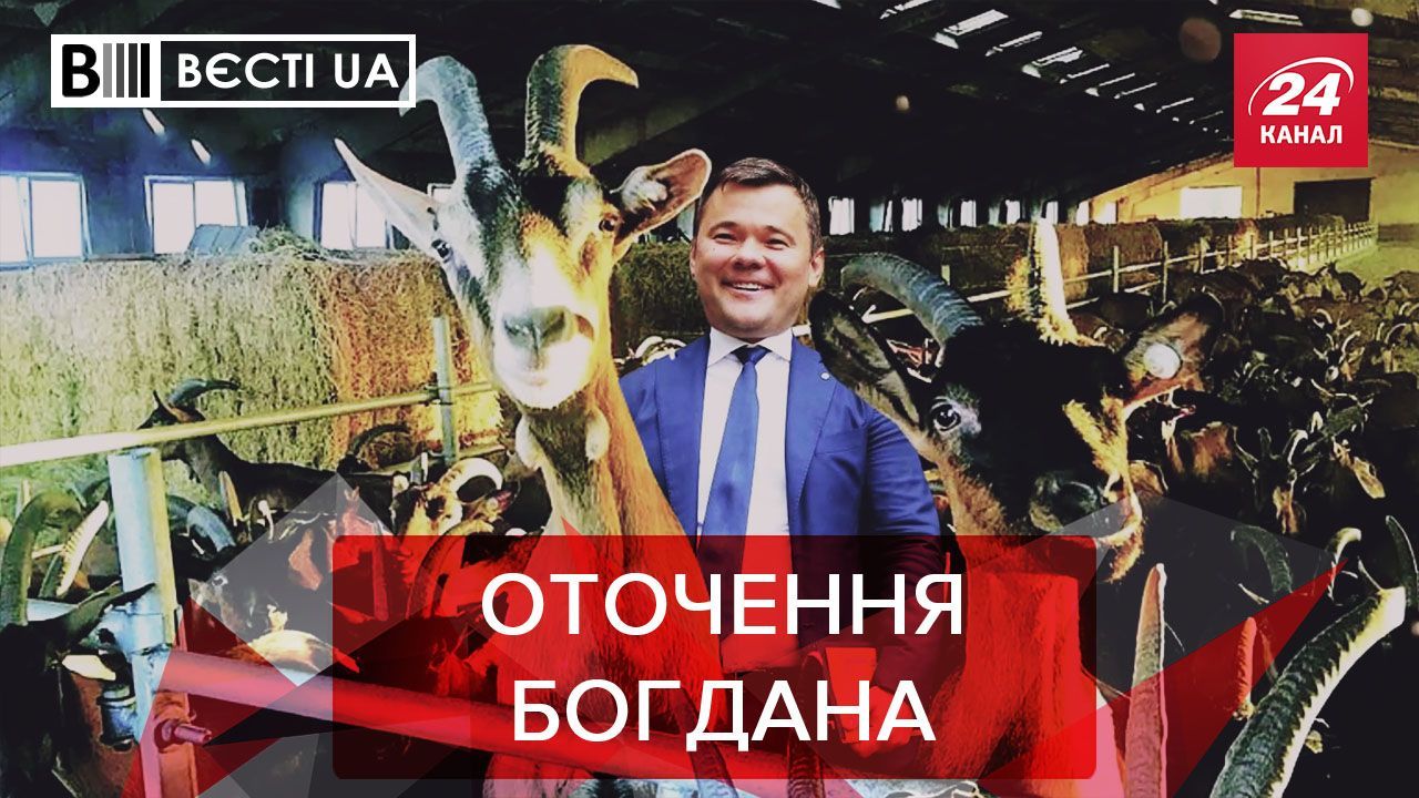 Вєсті.UA: Богдан любить домінувати. Всесильний Тищенко