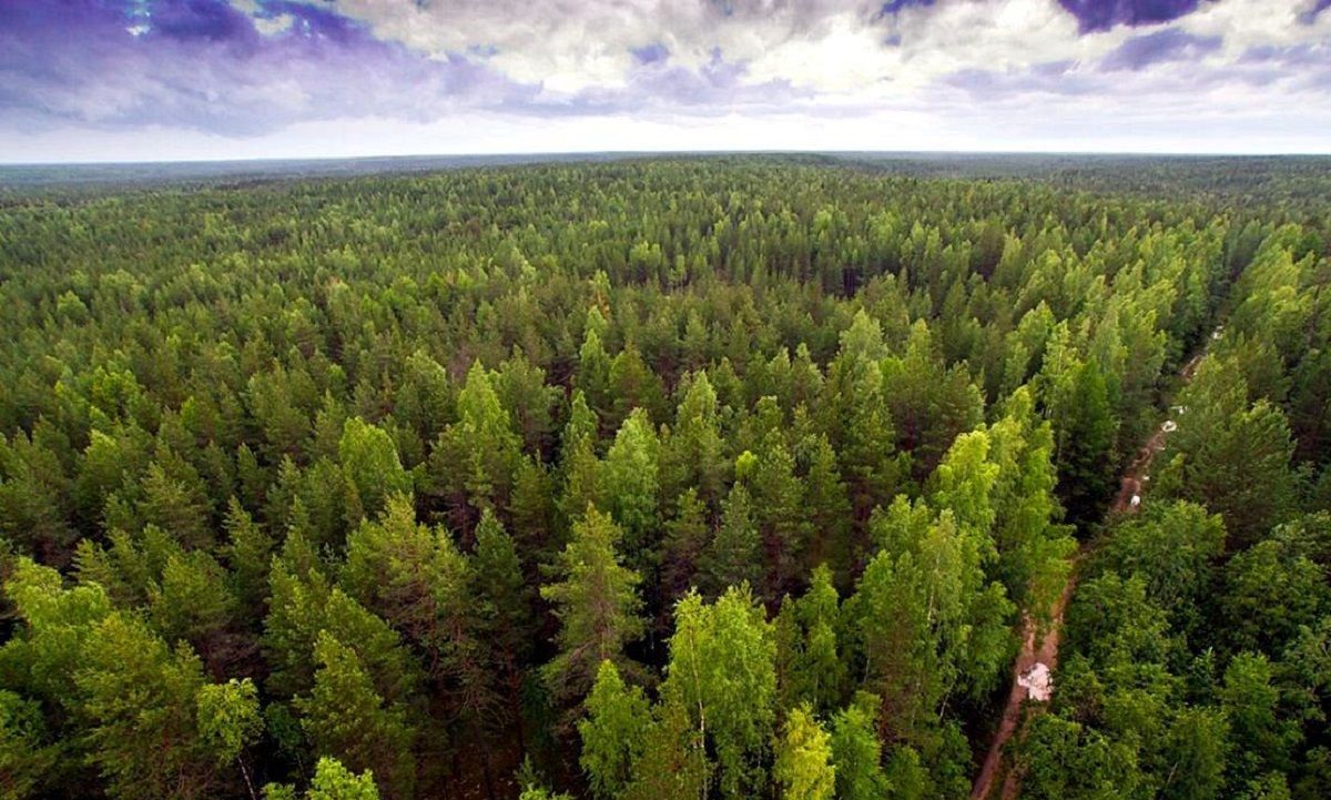 Без пересмотра экономической политики, экологическая катастрофа неизбежна, – Ермолаев Без пересмотра экономической политики, экологическая катастрофа неизбежна, – Ермолаев