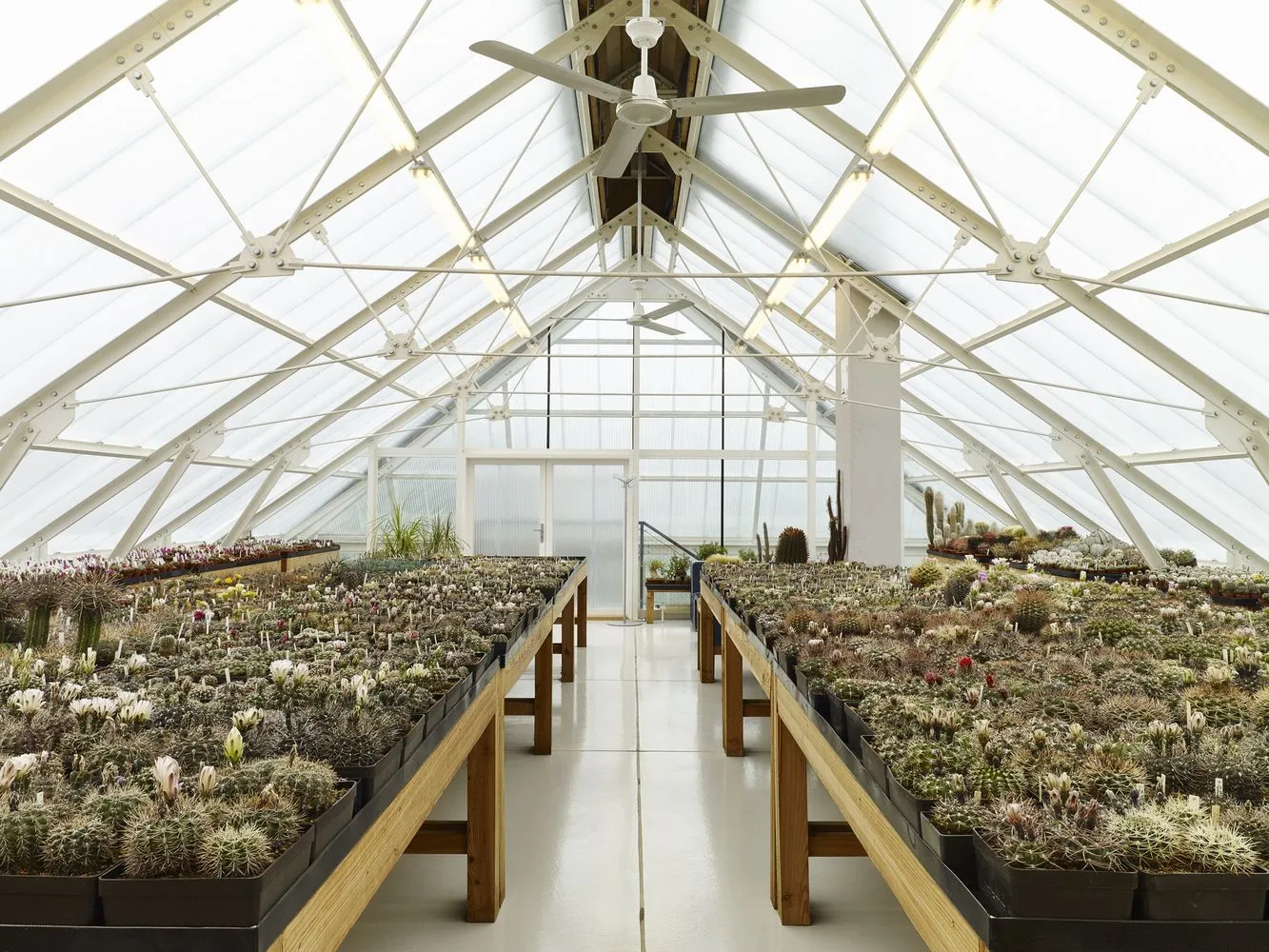 Парник розмістили на даху / фото: Archdaily Парник розмістили на даху / фото: Archdaily