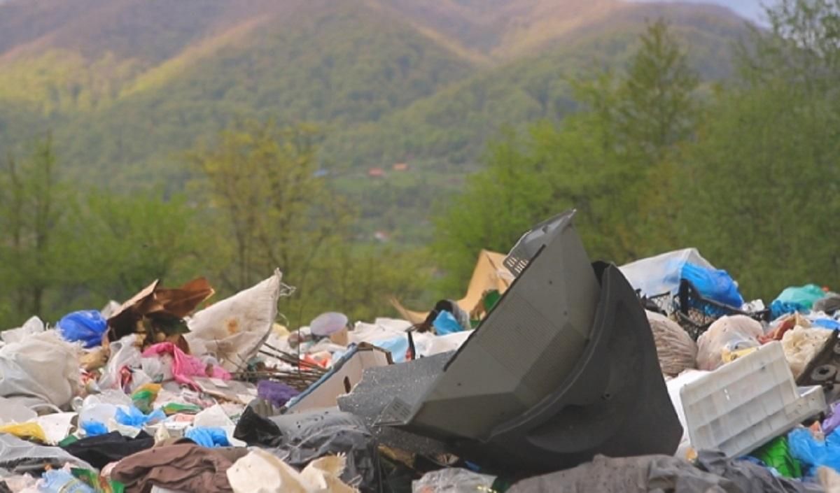 Закарпатье тонет в мусоре: экологическая катастрофа не за горами