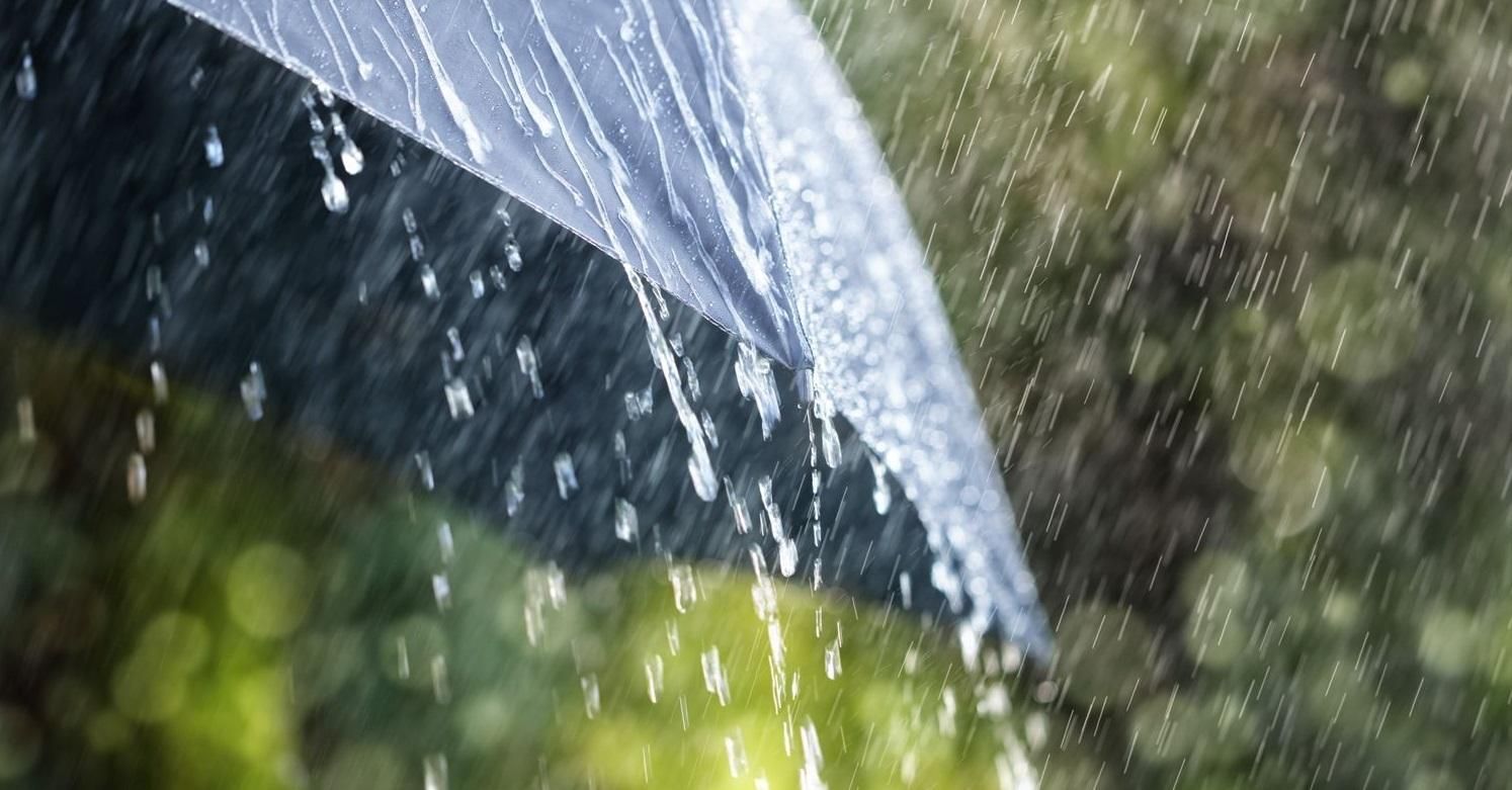 Погода 1 июня 2020 в Украине: какую погоду обещает синоптик Погода 1 июня 2020 в Украине: какую погоду обещает синоптик