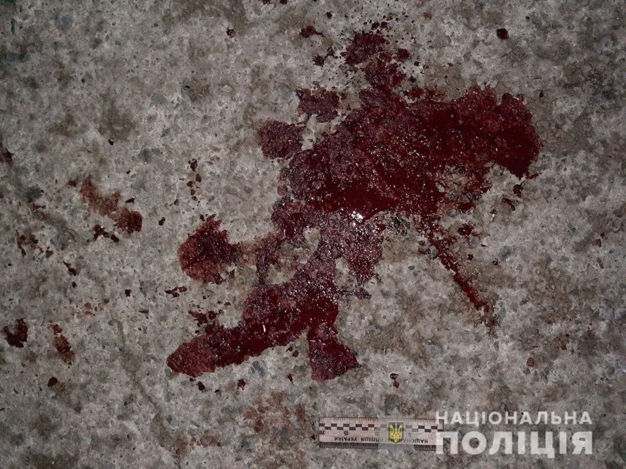 Собака Собака