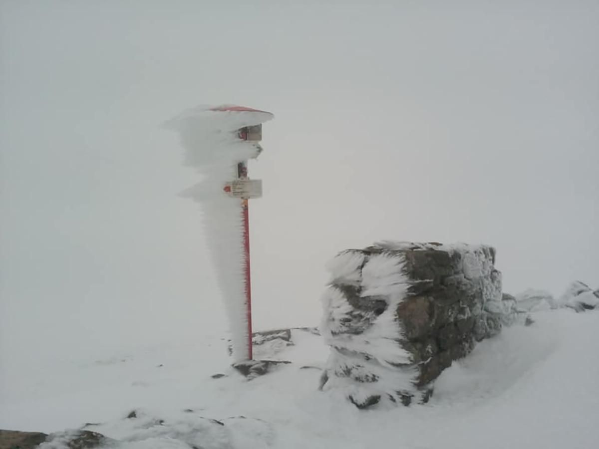 У Карпатах випав сніг і похолодало 1 червня 2020: фото