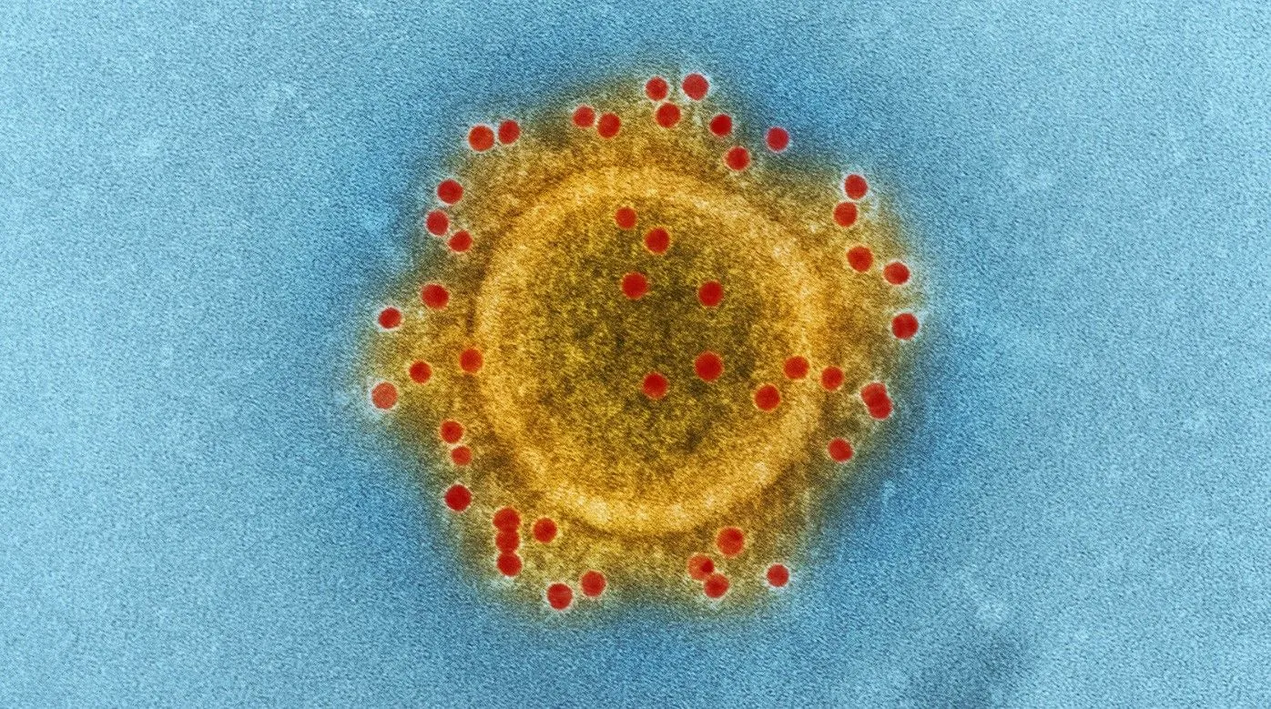 Мутація коронавірусу 