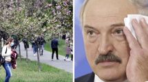 Головні новини 3 червня: послаблення карантину в Україні та відставка уряду Білорусі Головні новини 3 червня: послаблення карантину в Україні та відставка уряду Білорусі