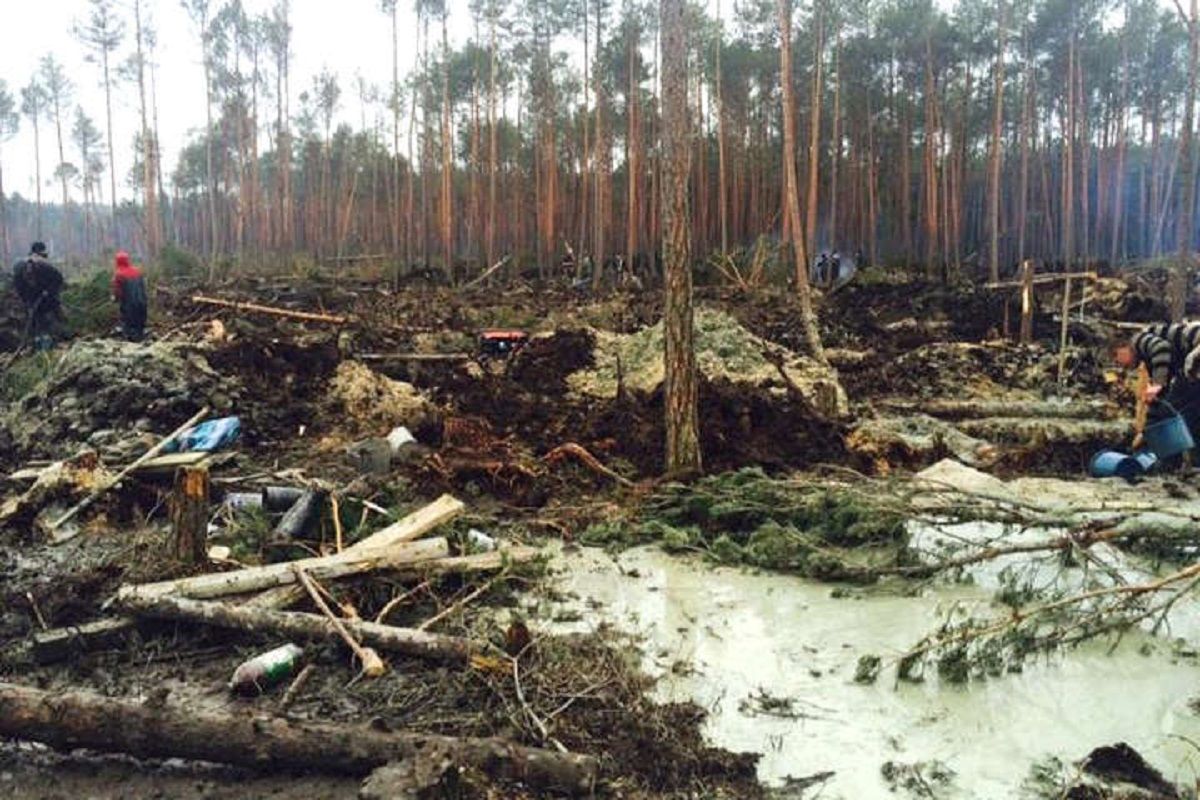 Зникає ліс, забруднюються річки і втрачається родючий грунт, – експерти про видобуток бурштину