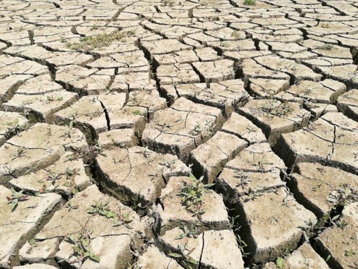 У Криму пересихає Сімферопольське водосховище у червні 2020 - фото У Криму пересихає Сімферопольське водосховище у червні 2020 - фото