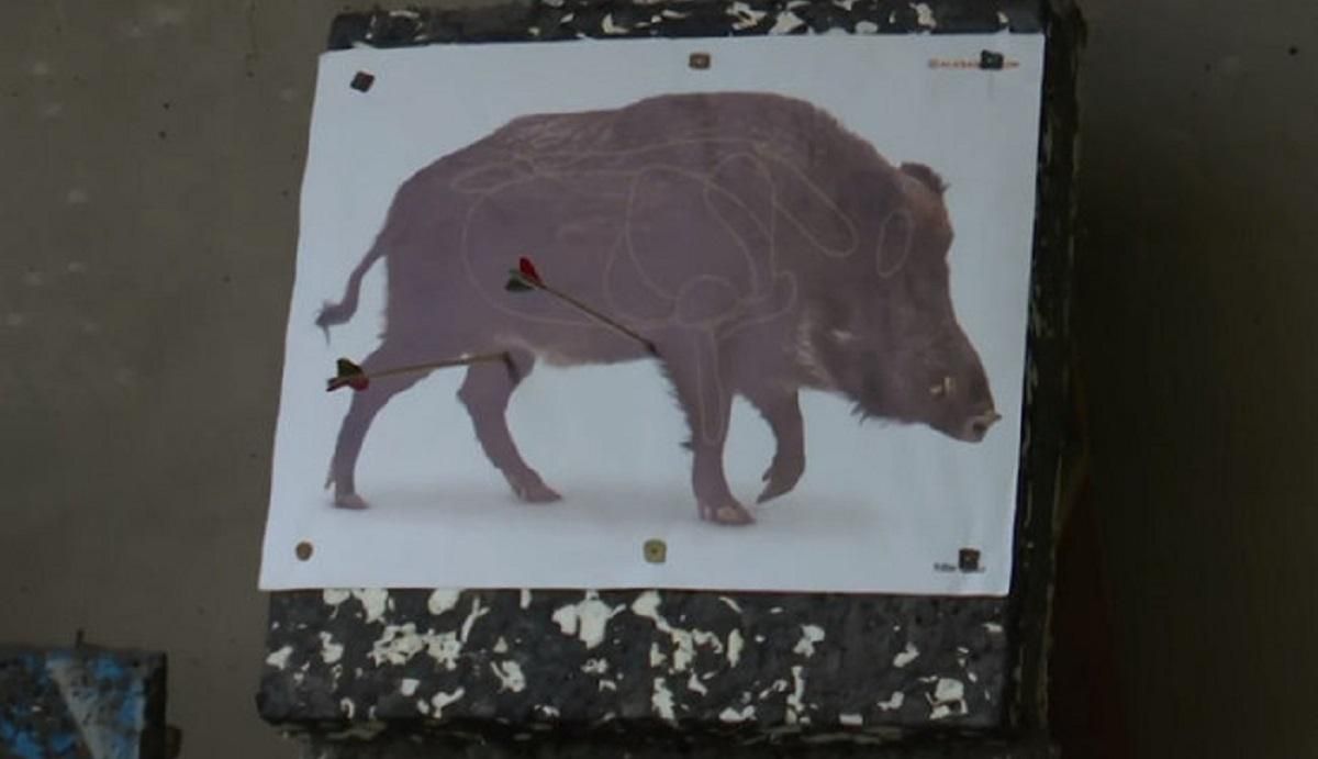 Зеленський з лука стріляв у кабана в Кам'янці-Подільському: відео Зеленський з лука стріляв у кабана в Кам'янці-Подільському: відео