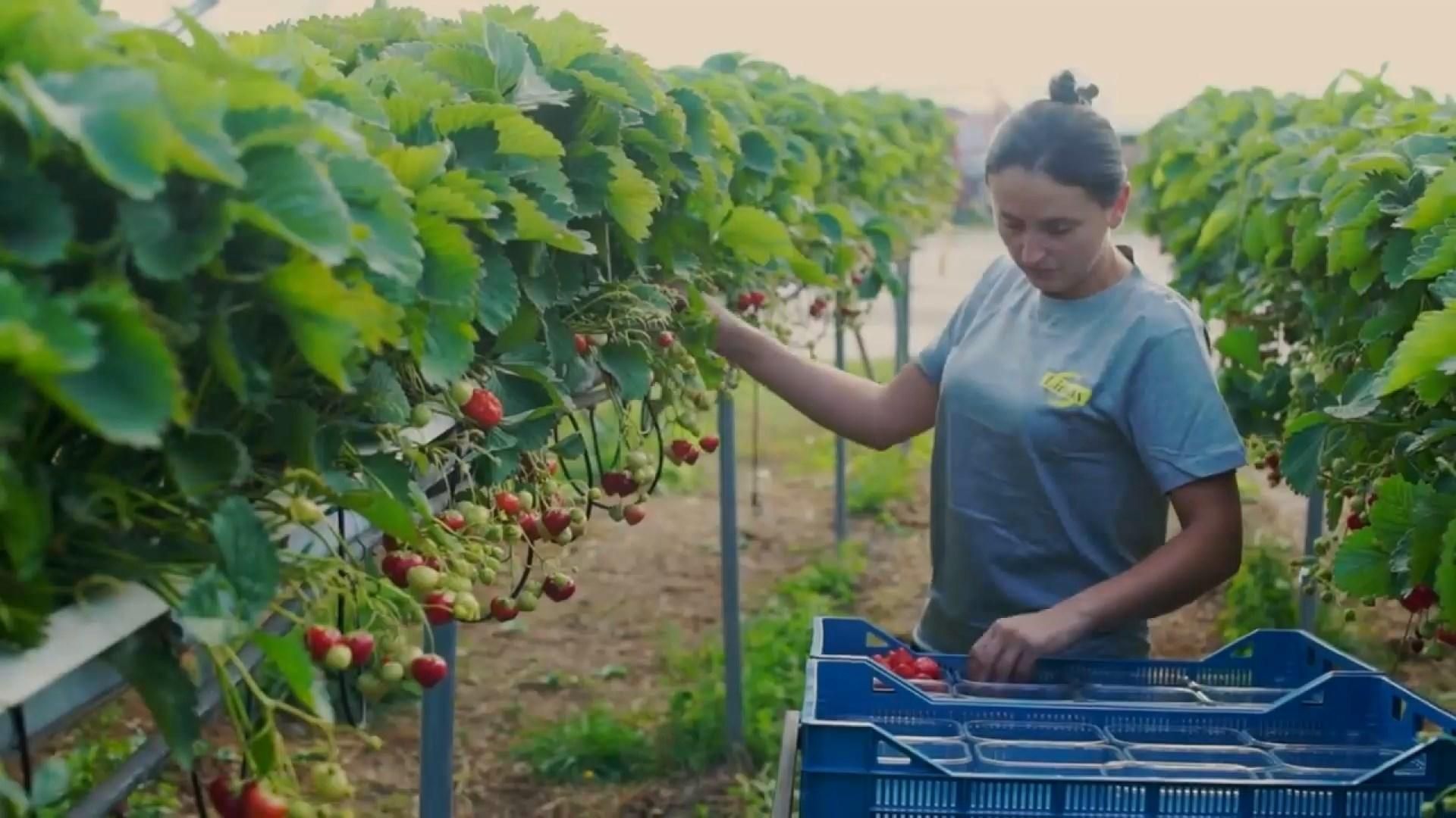 Робота в Польщі Робота в Польщі