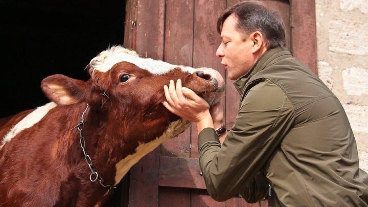 Олег Ляшко будет баллотироваться в 208 округе погибшего Давыденко Олег Ляшко будет баллотироваться в 208 округе погибшего Давыденко