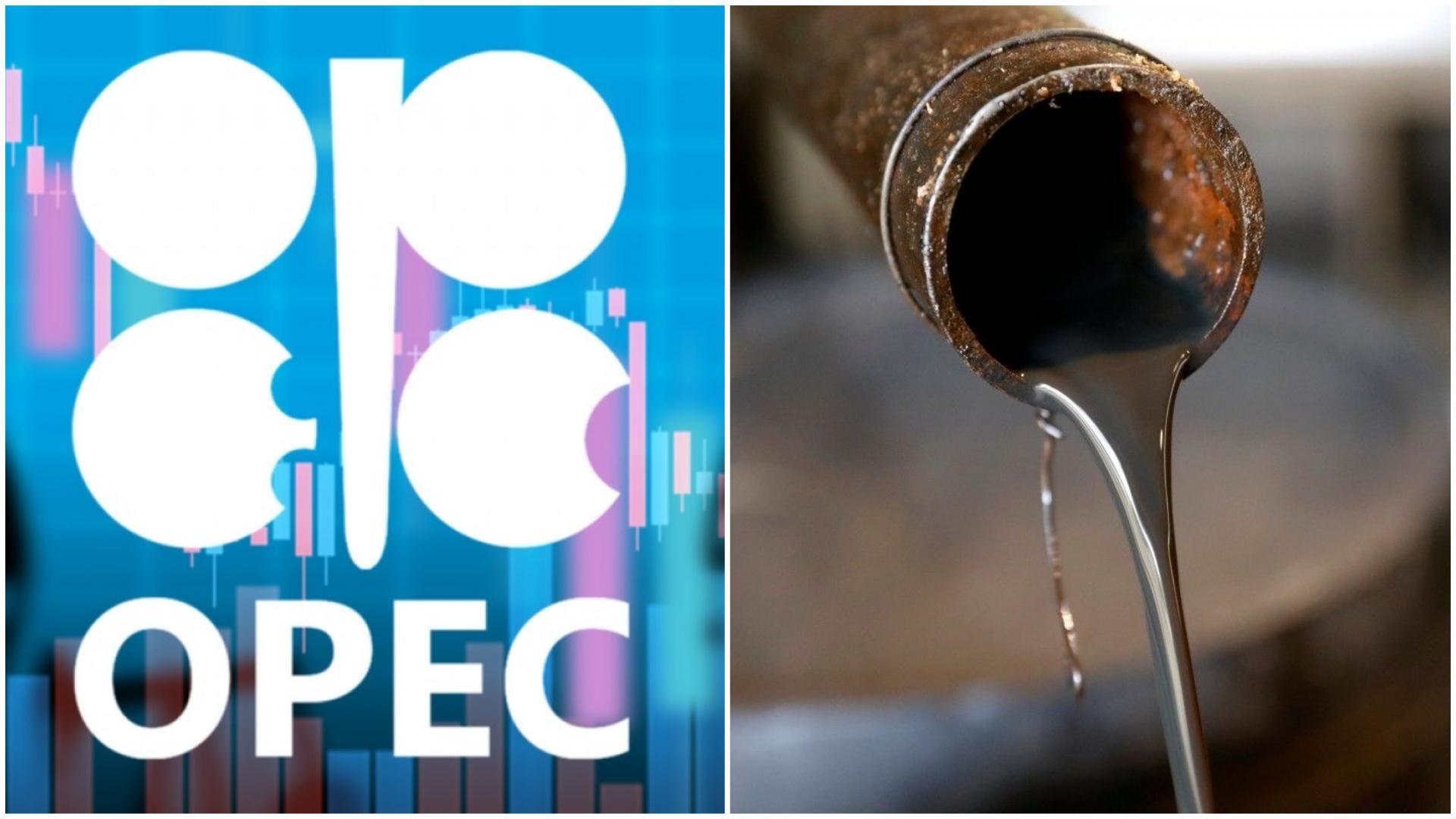 Чи видобування нафти скорочуватимуть надалі: результати засідання ОПЕК