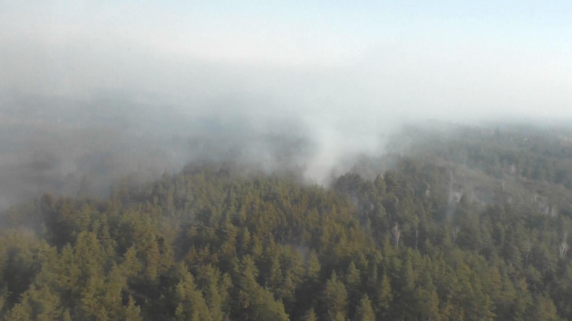 Наслідки пожеж на Житомирщині: як відновлюють природні втрати
