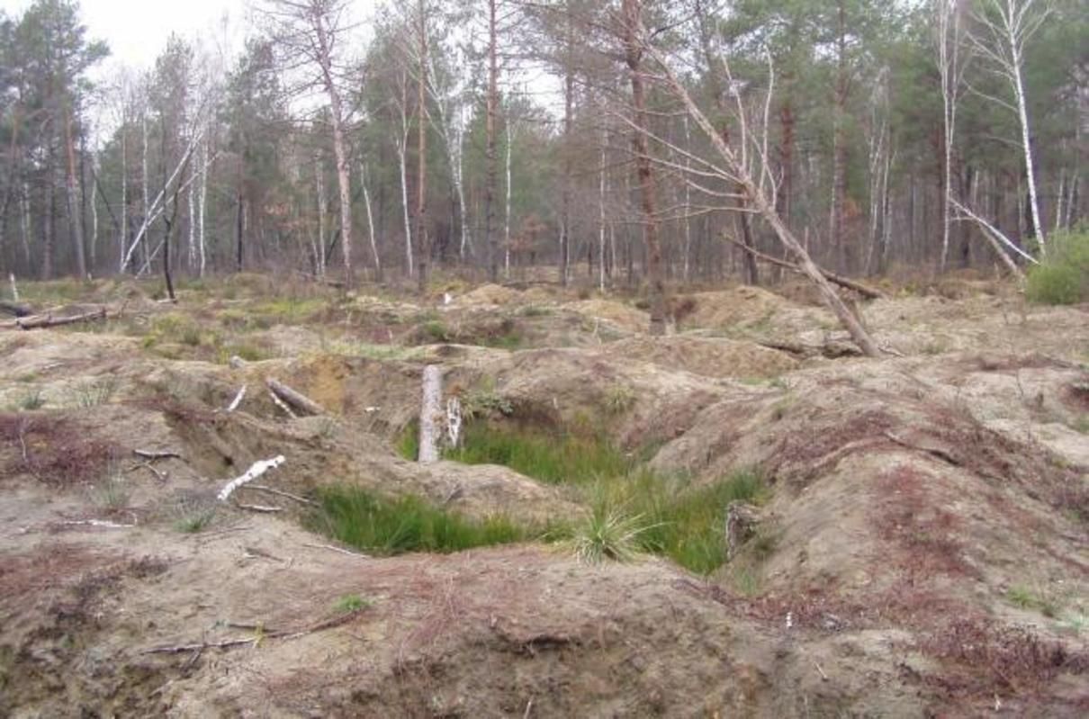 Политики пиарятся и манипулируют на теме охраны окружающей среды, – расследование СМИ Политики пиарятся и манипулируют на теме охраны окружающей среды, – расследование СМИ