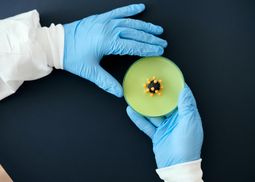 Burning Rock Biotech выходит на IPO: основные факты об одном из лидеров биотех-индустрии Китая