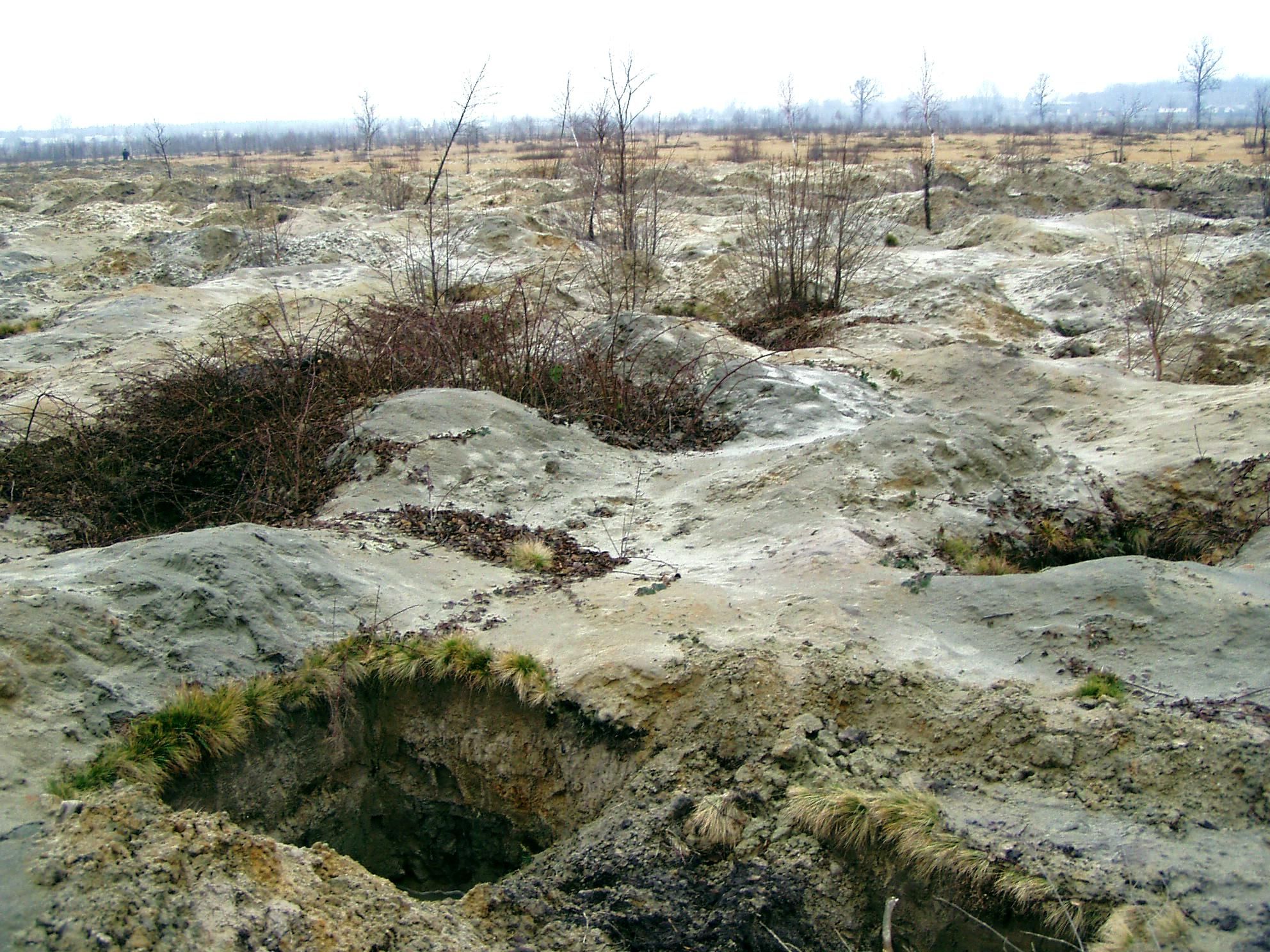 Уничтоженные леса и реки: копатели янтаря показали свои преступления в соцсети