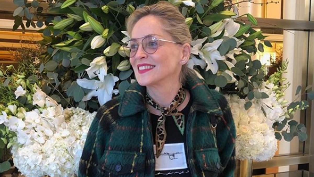 У Шерон Стоун вдарила блискавка: деталі