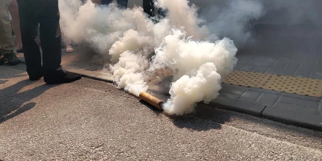 Димова шашка Димова шашка