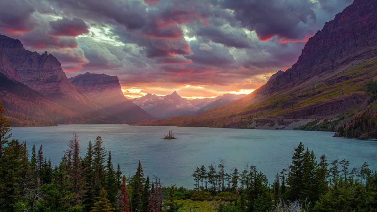 Фотографія ламала Android-смартфони: її автор користується iPhone Фотографія ламала Android-смартфони: її автор користується iPhone