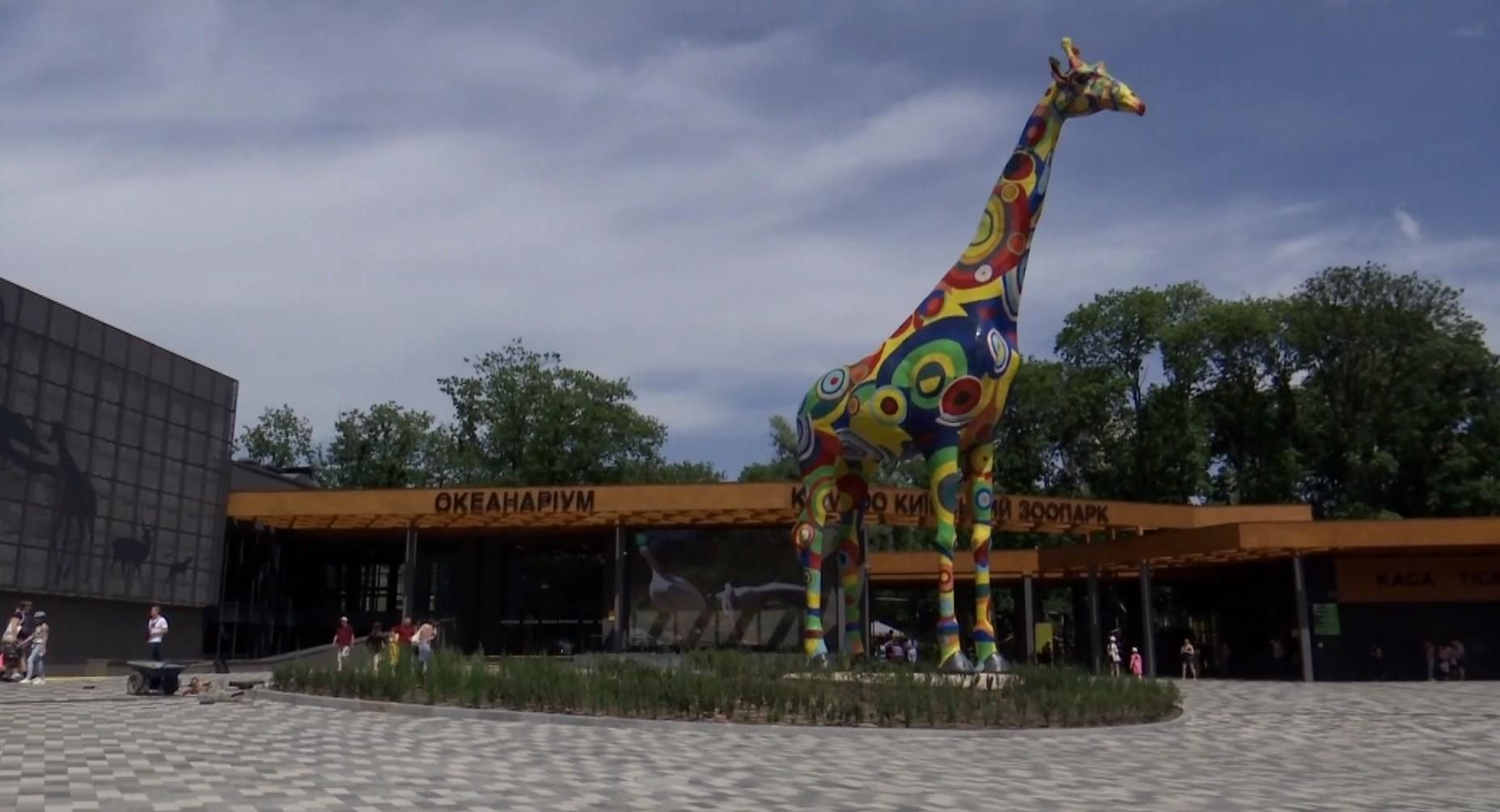 Як живеться тваринам київського зоопарку після карантину: зворушливі фото та відео Як живеться тваринам київського зоопарку після карантину: зворушливі фото та відео