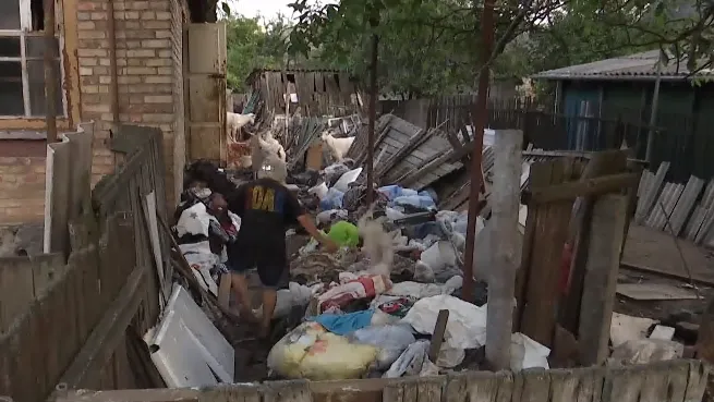 кози київ кози київ