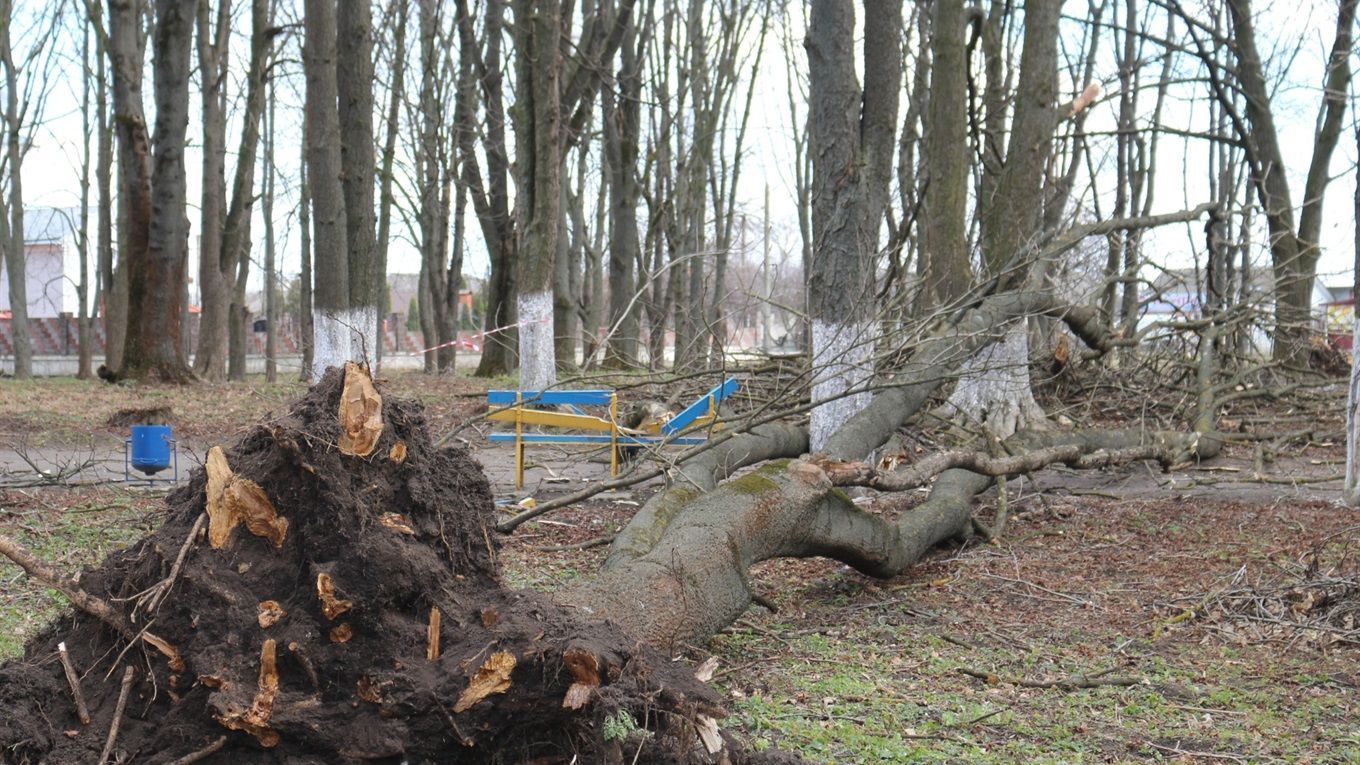 Наслідки негоди: сотні знеструмлених населених пунктів, кілометри пошкоджених доріг