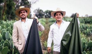 Двоє друзів з Мексики почали виробляти екошкіру з кактуса: історія створення бренду Desserto