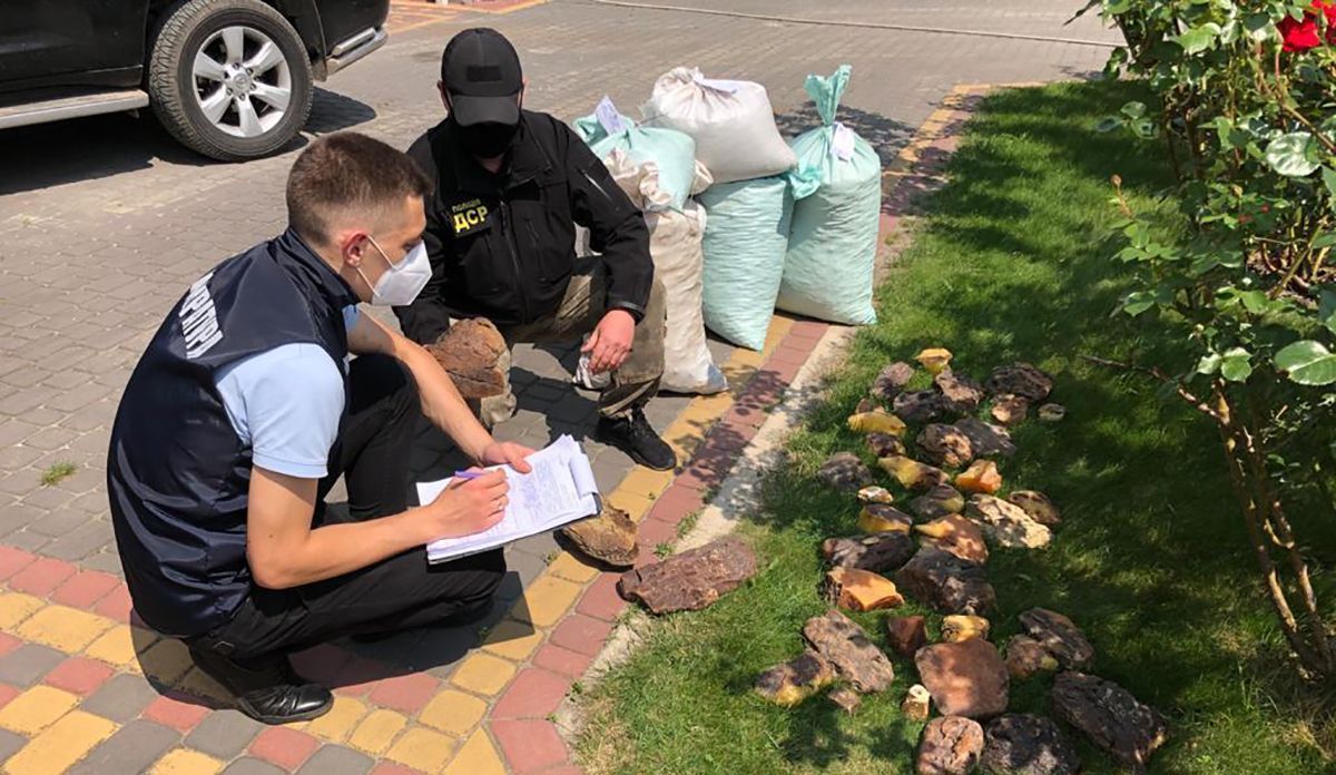 Рекордну партію бурштину вилучили на Рівненщині Рекордну партію бурштину вилучили на Рівненщині