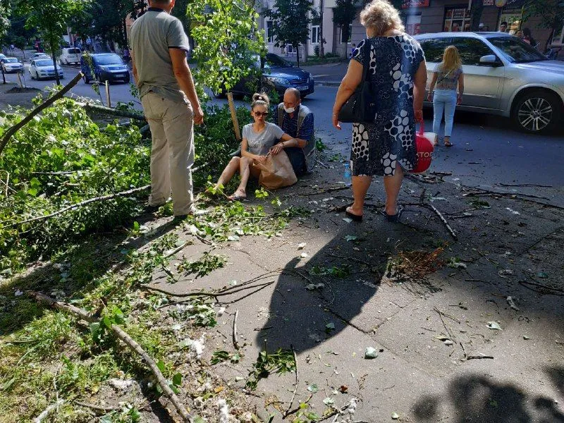 дерево впало на дівчину