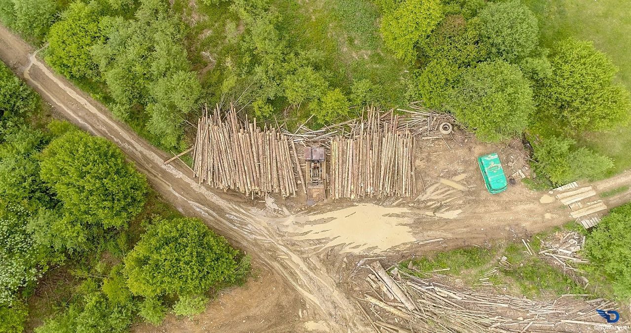 Каковы последствия массовой вырубки лесов: фото "лысых" Карпат