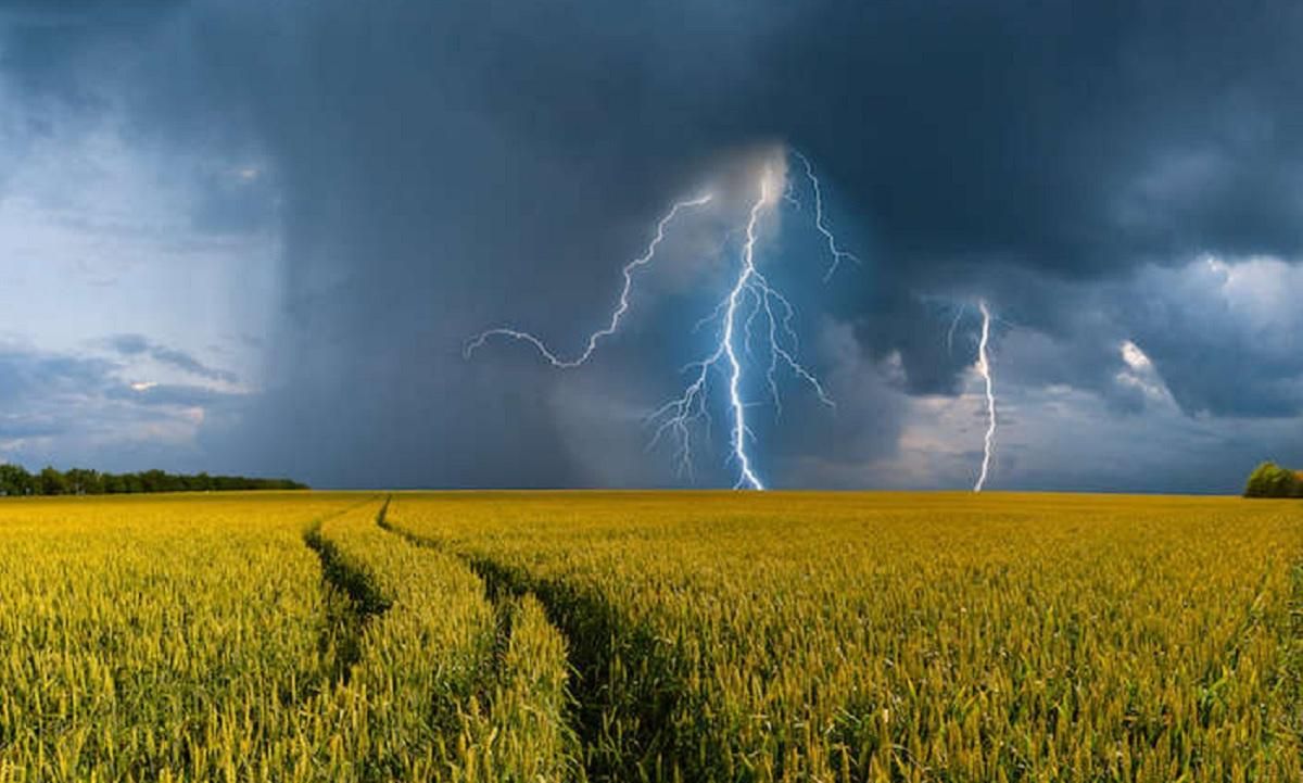Погода 19 июня 2020 в Украине: какую погоду обещает синоптик