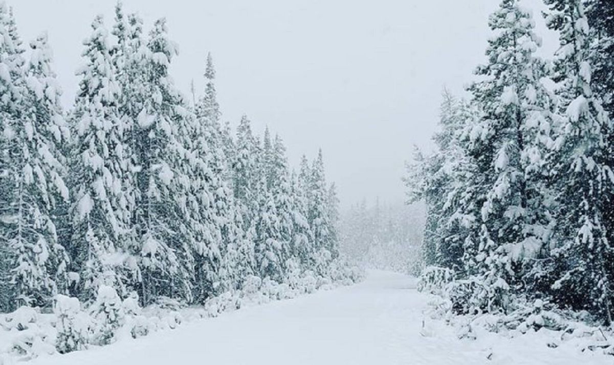 У США серед літав випав сніг: фото та відео У США серед літав випав сніг: фото та відео