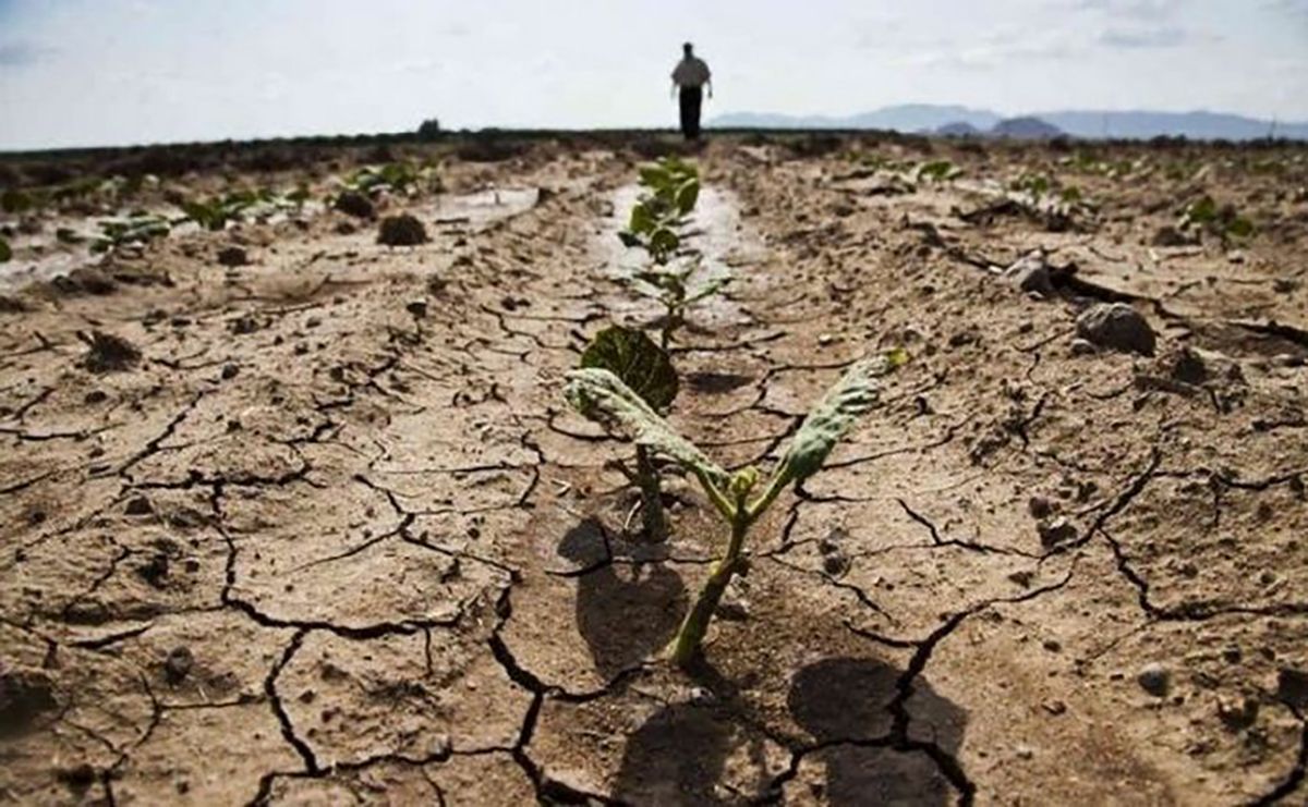 Посуха в Україні влітку та восени 2020: проблеми з водою