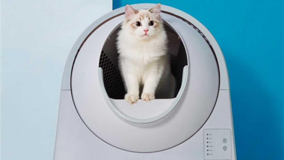 Розумний туалет для котів від Xiaomi: що це таке і як працює Розумний туалет для котів від Xiaomi: що це таке і як працює