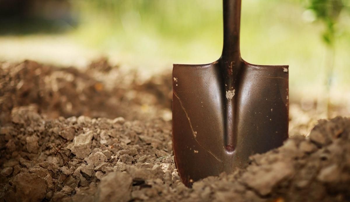 Как тебе такое Илон Маск: россияне решили запатентовать лопату Как тебе такое Илон Маск: россияне решили запатентовать лопату