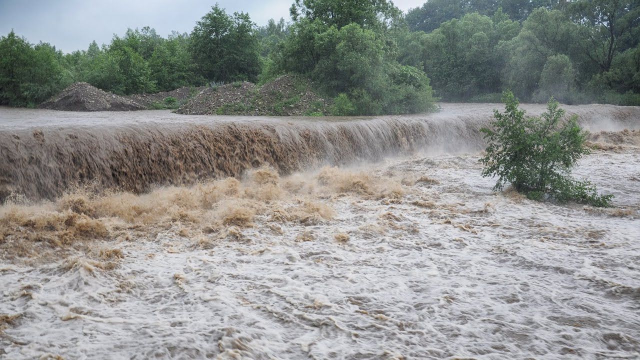 Негода на Прикарпатті: вирубка лісів не є причиною повені Негода на Прикарпатті: вирубка лісів не є причиною повені