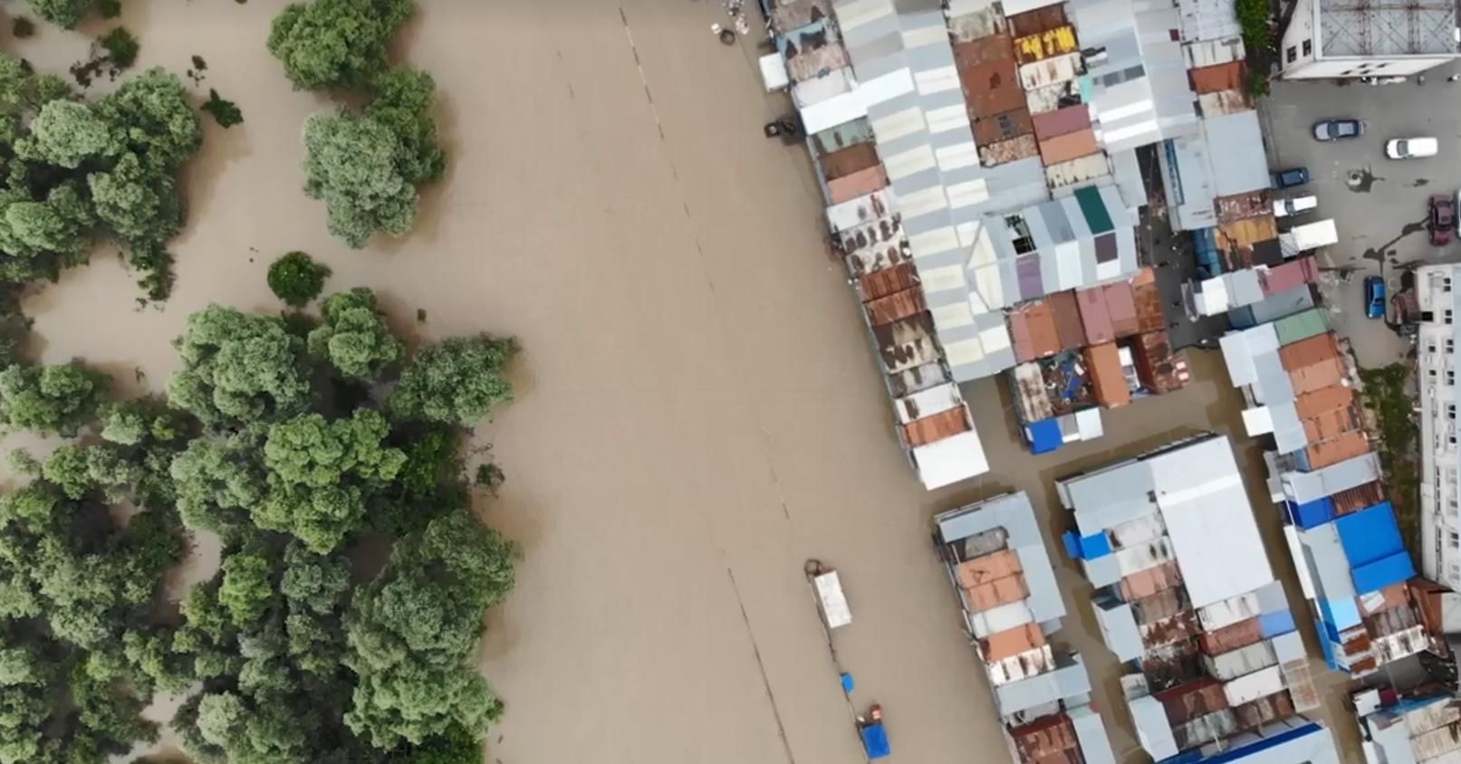 На затопленому ринку у Чернівцях спіймали велетенську рибу: фото