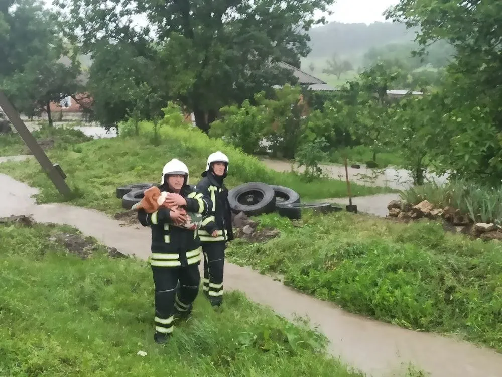 Місцевим жителям допомогли евакуювати тварин