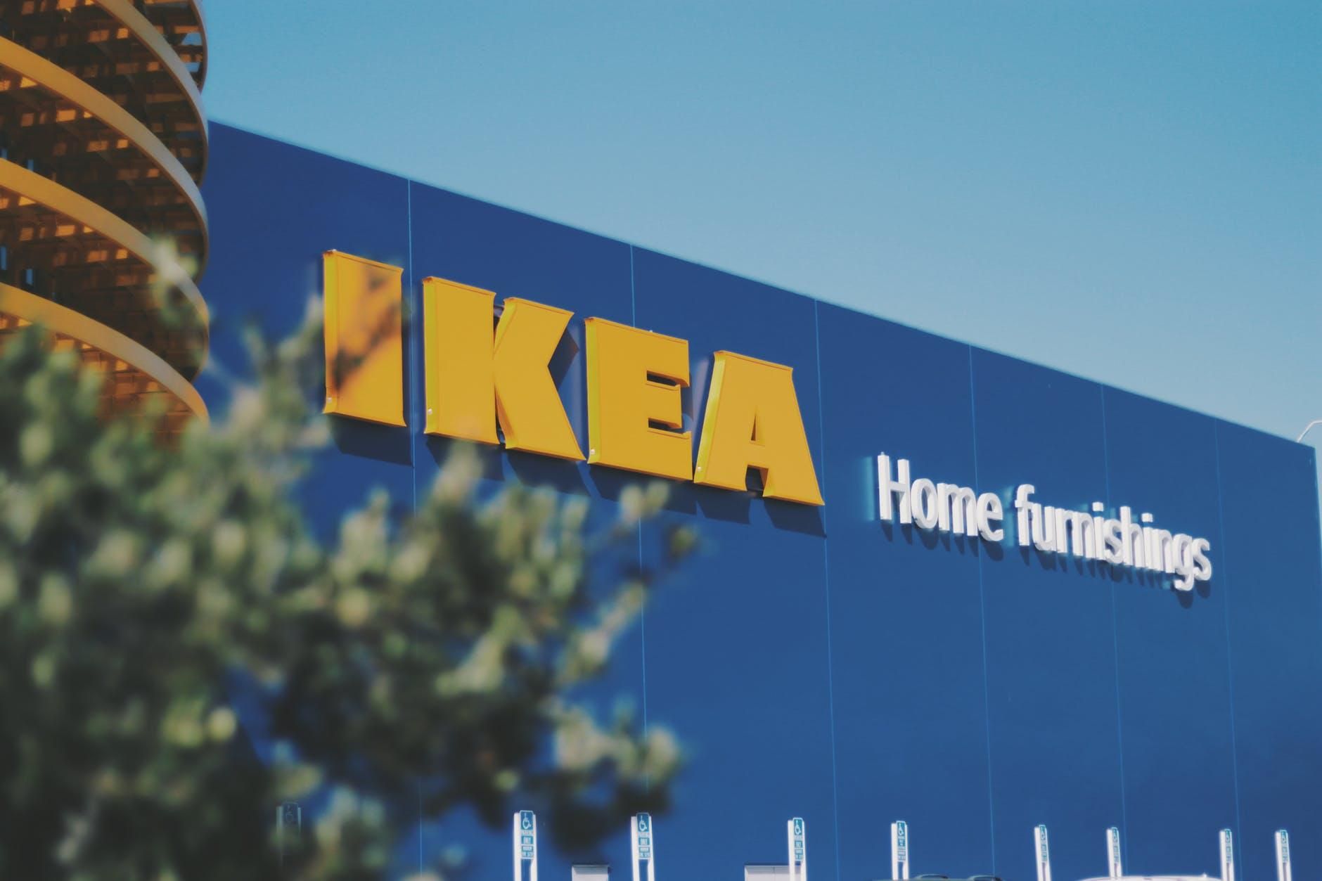 Незаконная рубка украинского леса и IKEA: в компании отреагировали на скандальное расследование