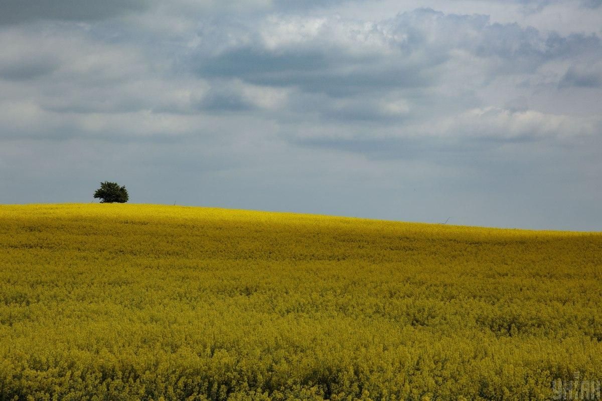 Активисты выиграли дело у фермера, который арендовал землю в пределах заповедной территории Активисты выиграли дело у фермера, который арендовал землю в пределах заповедной территории