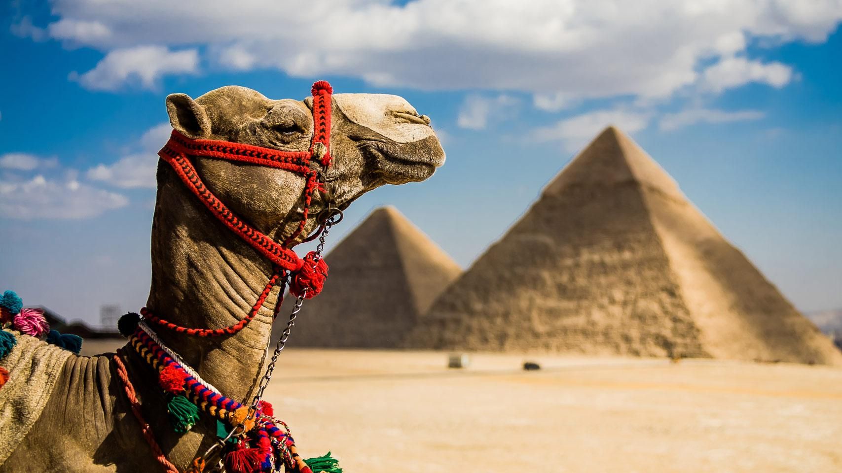 Египет попал в "красную" зону по количеству активных случаев COVID-19: туристам из Украины следует задуматься Египет попал в "красную" зону по количеству активных случаев COVID-19: туристам из Украины следует задуматься