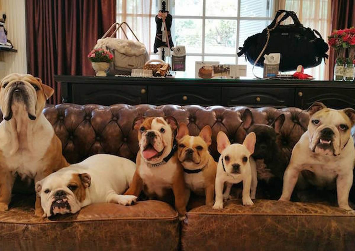 Гостиница для животных: где оставить любимца во время отпуска Гостиница для животных: где оставить любимца во время отпуска