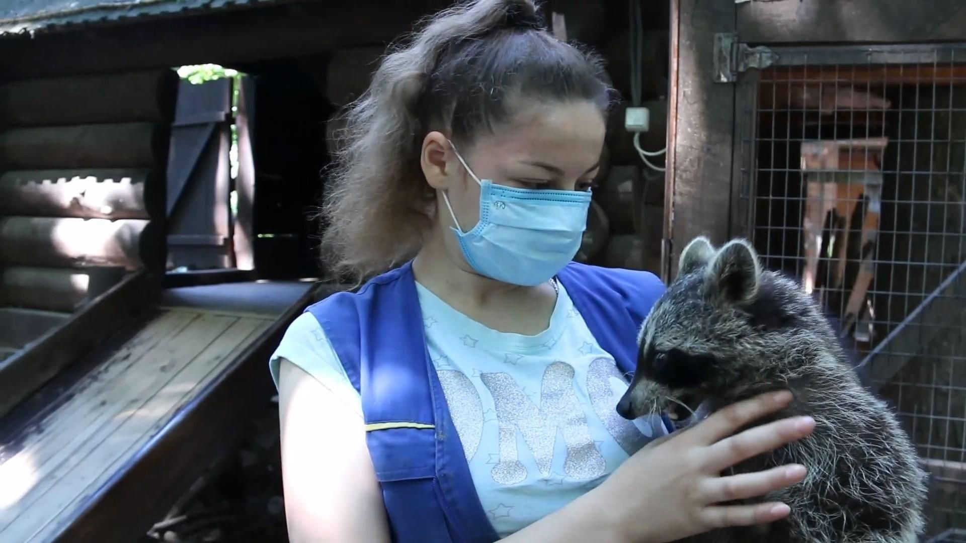 Животные остались почти без еды: в мини-зоопарке в Виннице бьют тревогу – детали Животные остались почти без еды: в мини-зоопарке в Виннице бьют тревогу – детали