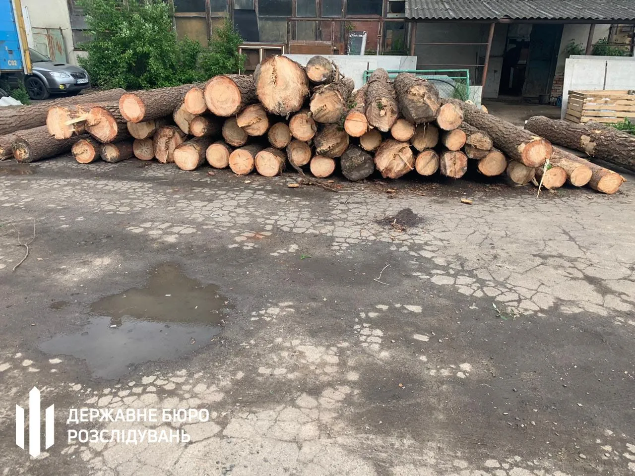 незаконна вирубка лісу, розслідування незаконна вирубка лісу, розслідування