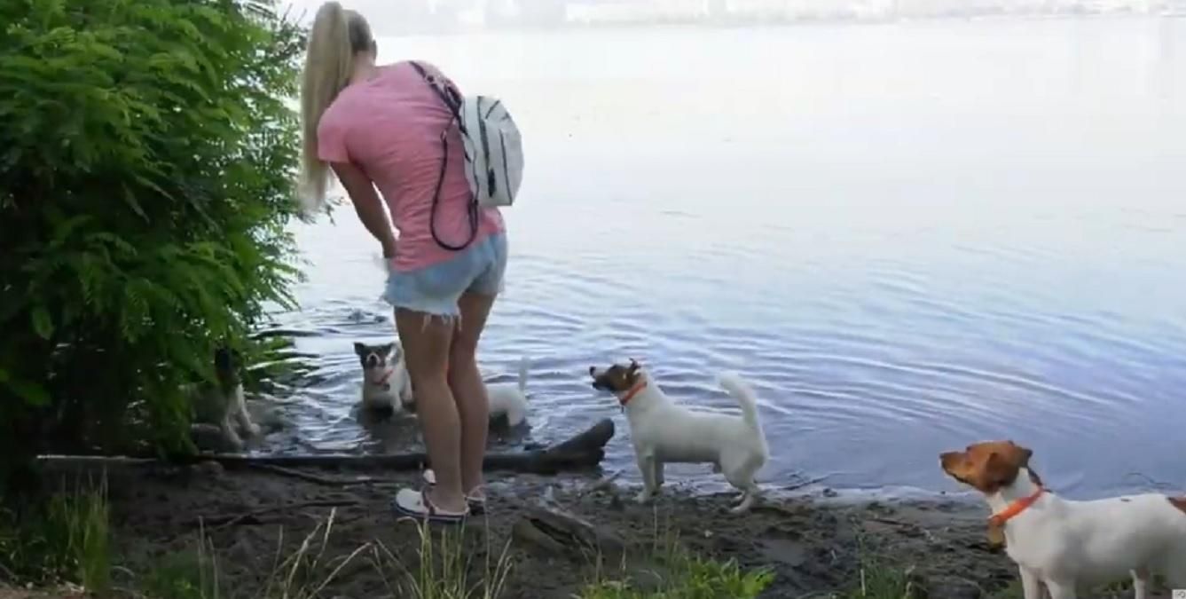 У Дніпрі сім собак прибирають сміття з вулиць та води: миле відео