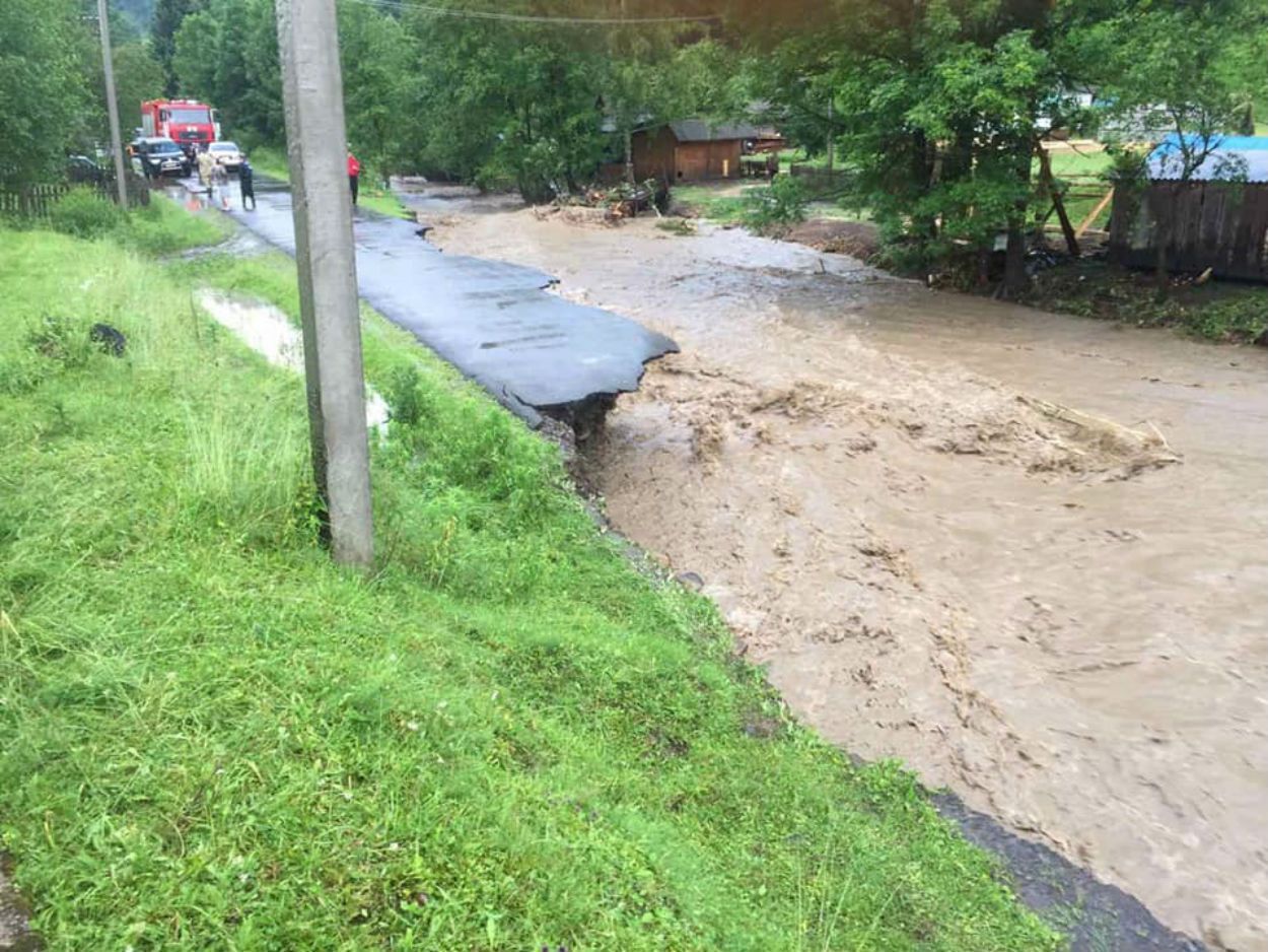 Маска из лопуха: киевлянка подорвала сеть защитой от COVID-19 – фото Маска из лопуха: киевлянка подорвала сеть защитой от COVID-19 – фото