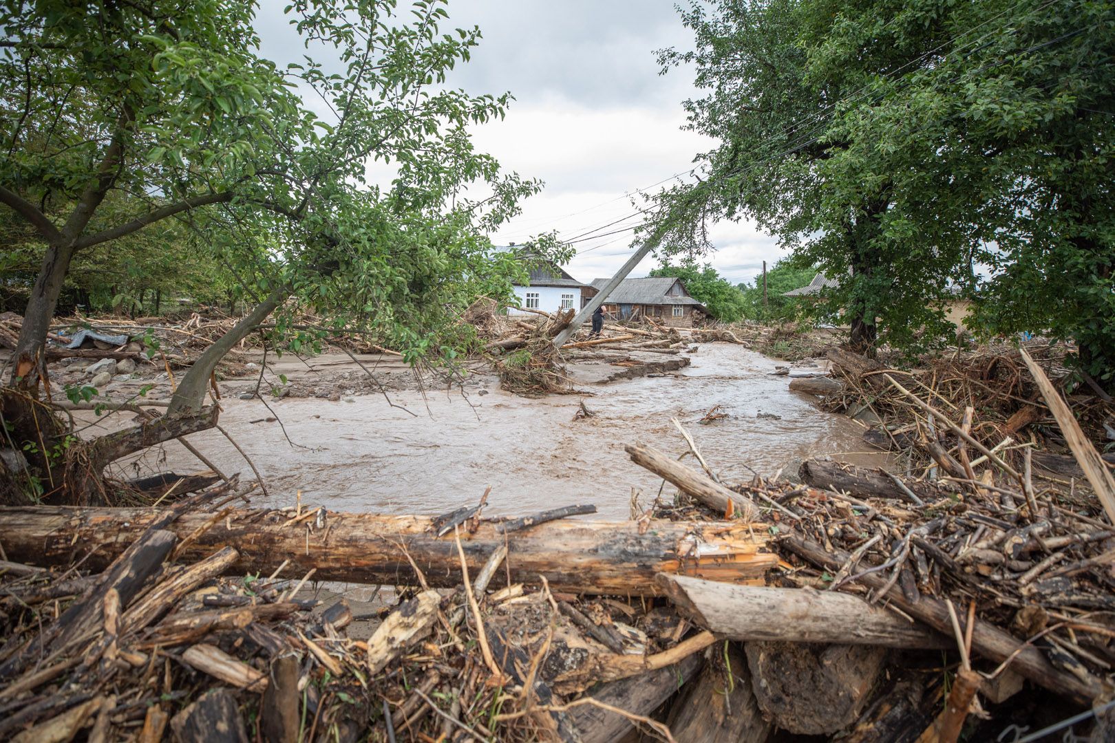 Италия передала Украине гумпомощь: самолет уже во Львове – видео Италия передала Украине гумпомощь: самолет уже во Львове – видео