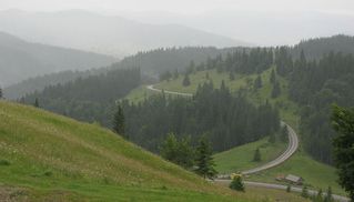 На Буковине произошло землетрясение: что известно