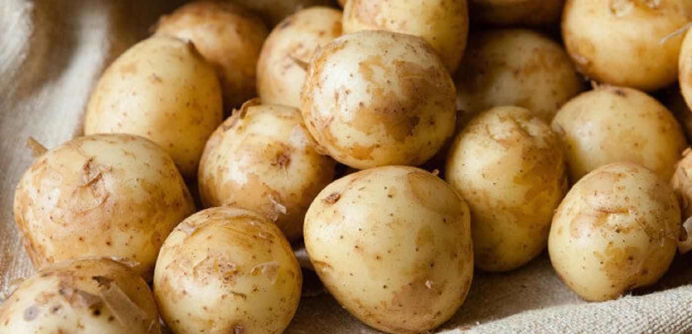 В Україні суттєво подешевшала молода картопля В Україні суттєво подешевшала молода картопля