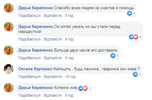 Київ маршрутка кошеня Київ маршрутка кошеня